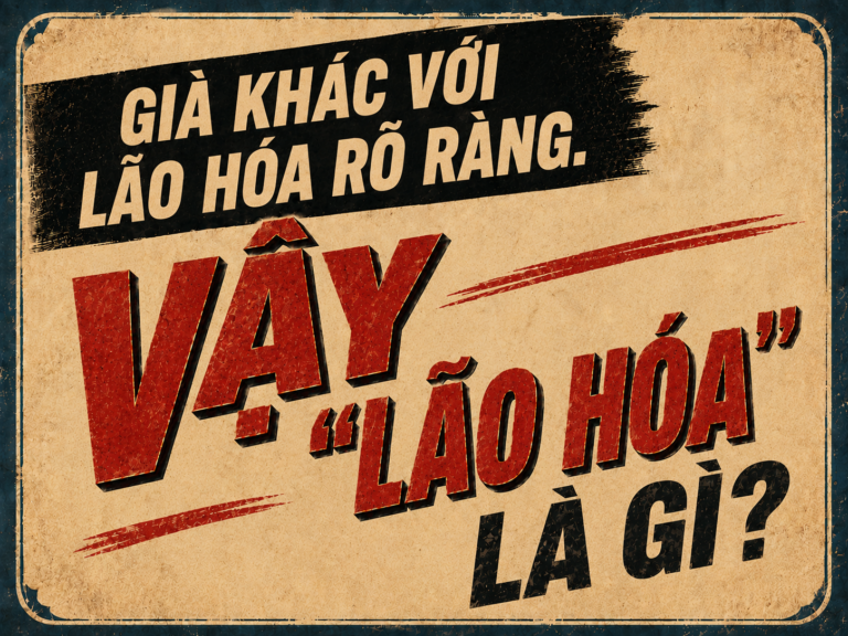 Lão hóa và những tổn thương làn da phải chịu mỗi ngày